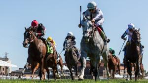 Ag Bullet Climbs into Top 10 on Equibase Leaderboard, Pletcher Joins Elite Five